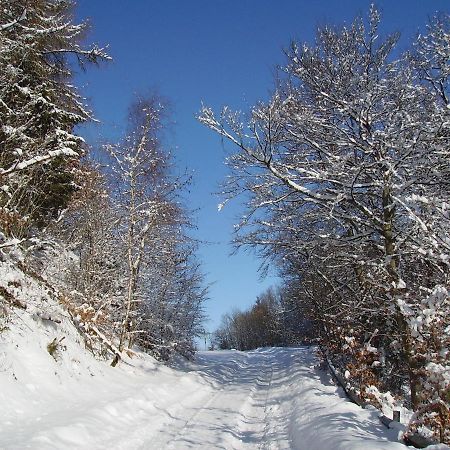 Ferienwohnung Sauerlandblick Goldhausen Luaran gambar