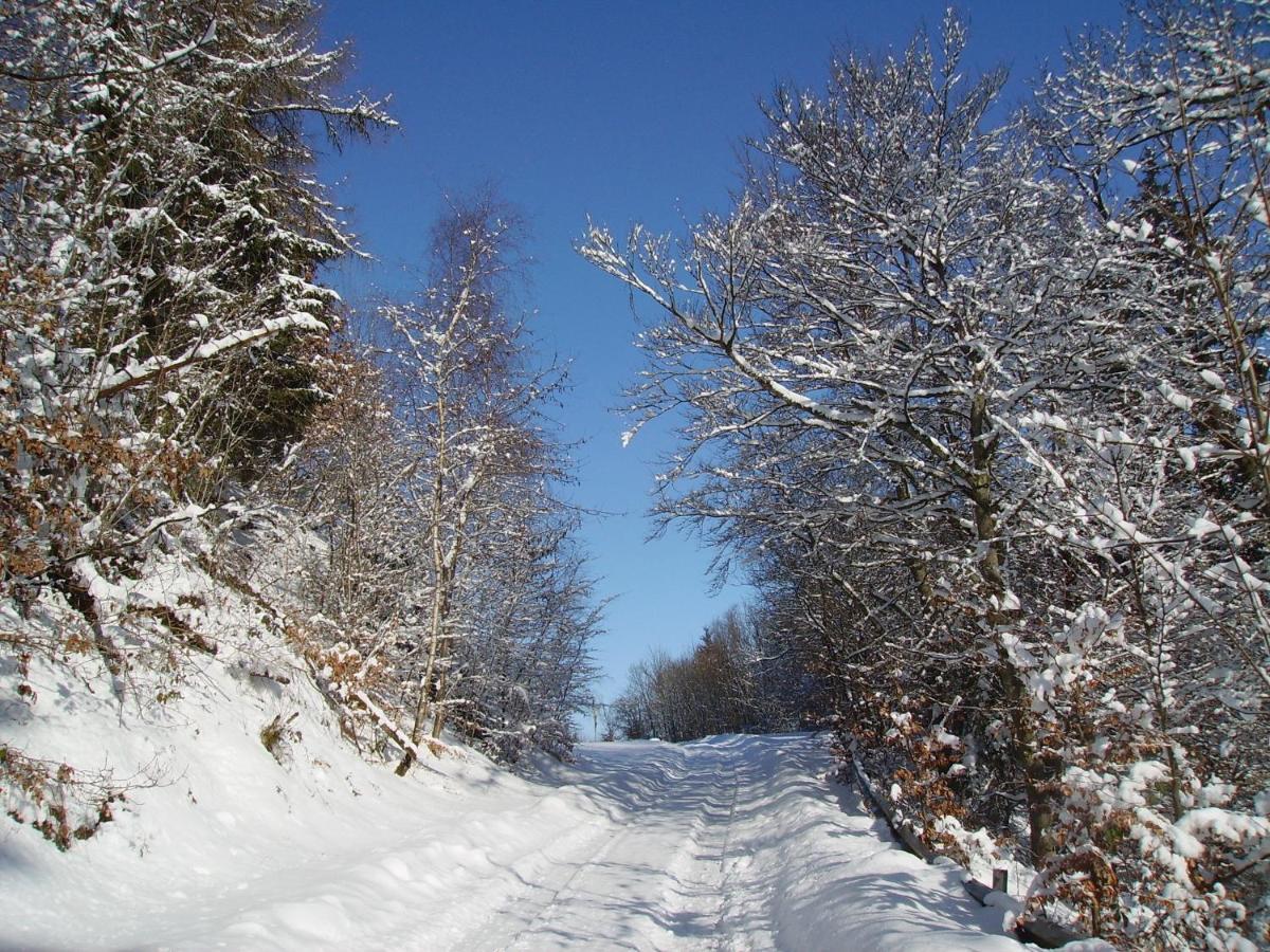 Ferienwohnung Sauerlandblick Goldhausen Luaran gambar